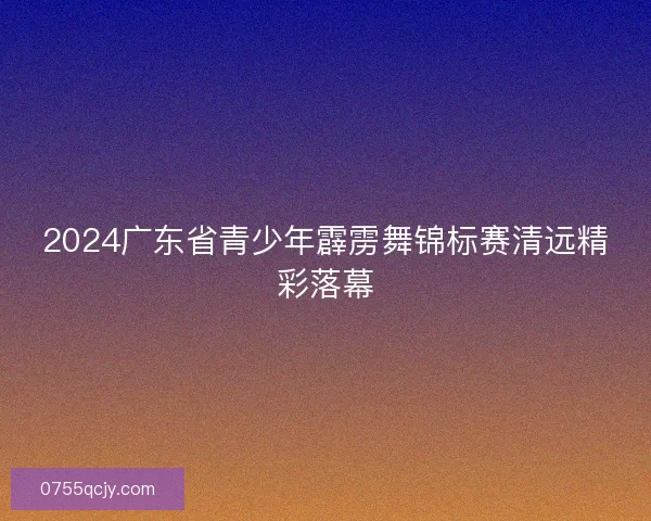 2024广东省青少年霹雳舞锦标赛清远精彩落幕